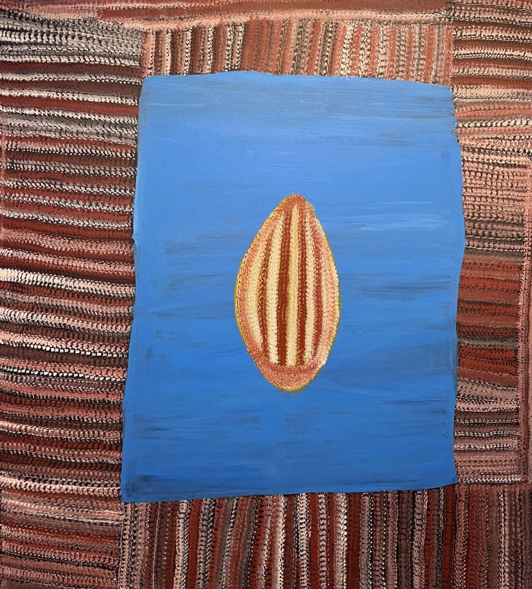 Aboriginal Australians visual data 2