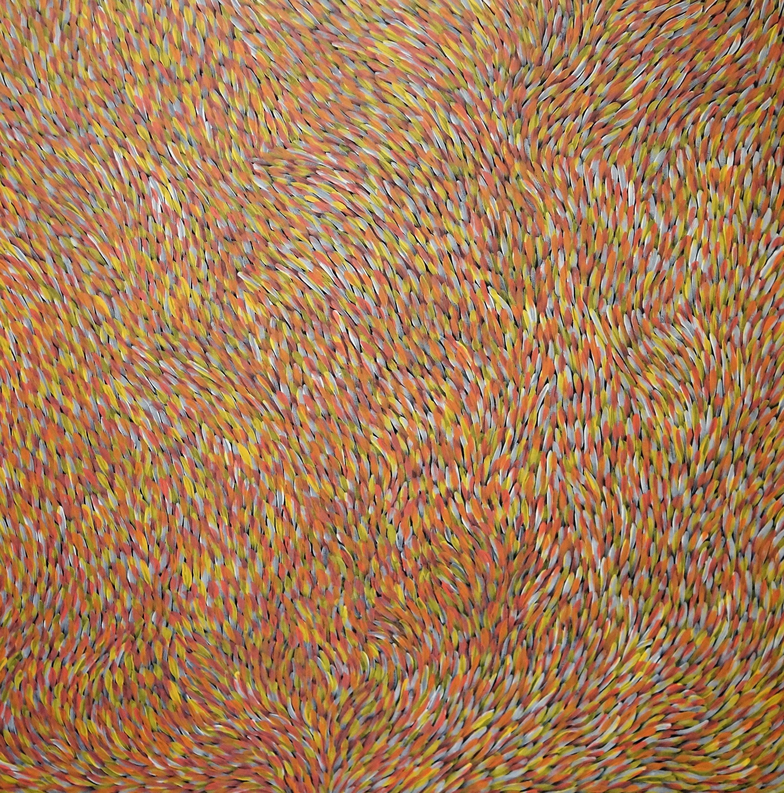 Yam Leaves Bush Medicine