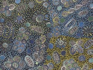 After Rain Yam Seed's (Women's Dreaming)