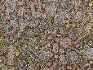 Women Ceremonial Dreaming