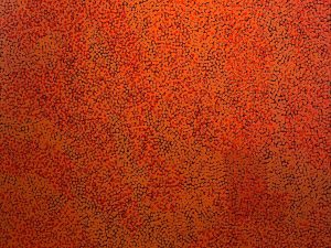 Anmatjerra and Sandplains