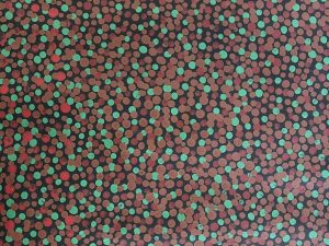 Spinifex on Anmatjerra