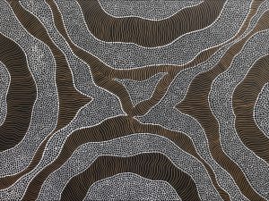 A Dreamtime on Saltlakes Meeting Rivers