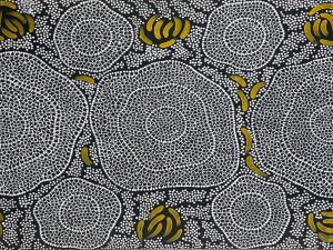 A Bush Medicine, Saltlake Dreaming