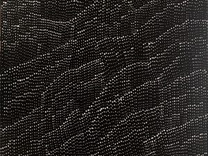 Night Sky & Sandhills