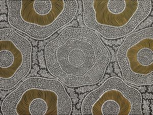 Bush Onion & Saltlakes