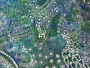 A Bush Blueberry, Awelye Dreaming