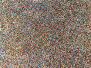 A Anmatjarra Desert, Night Sky